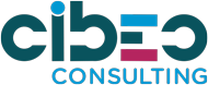 CIBEO Consulting : logiciels de gestion d'entreprise, webmarketing, audit et conseil en informatique