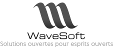 Distributeur Wavesoft ERP; spécialiste Wavesoft