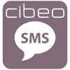 Campagne d'envoi SMS marketing