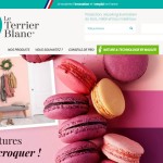 Site e-commerce, Peinture & Rénovation Haut-Rhin (68) – Le Terrier Blanc