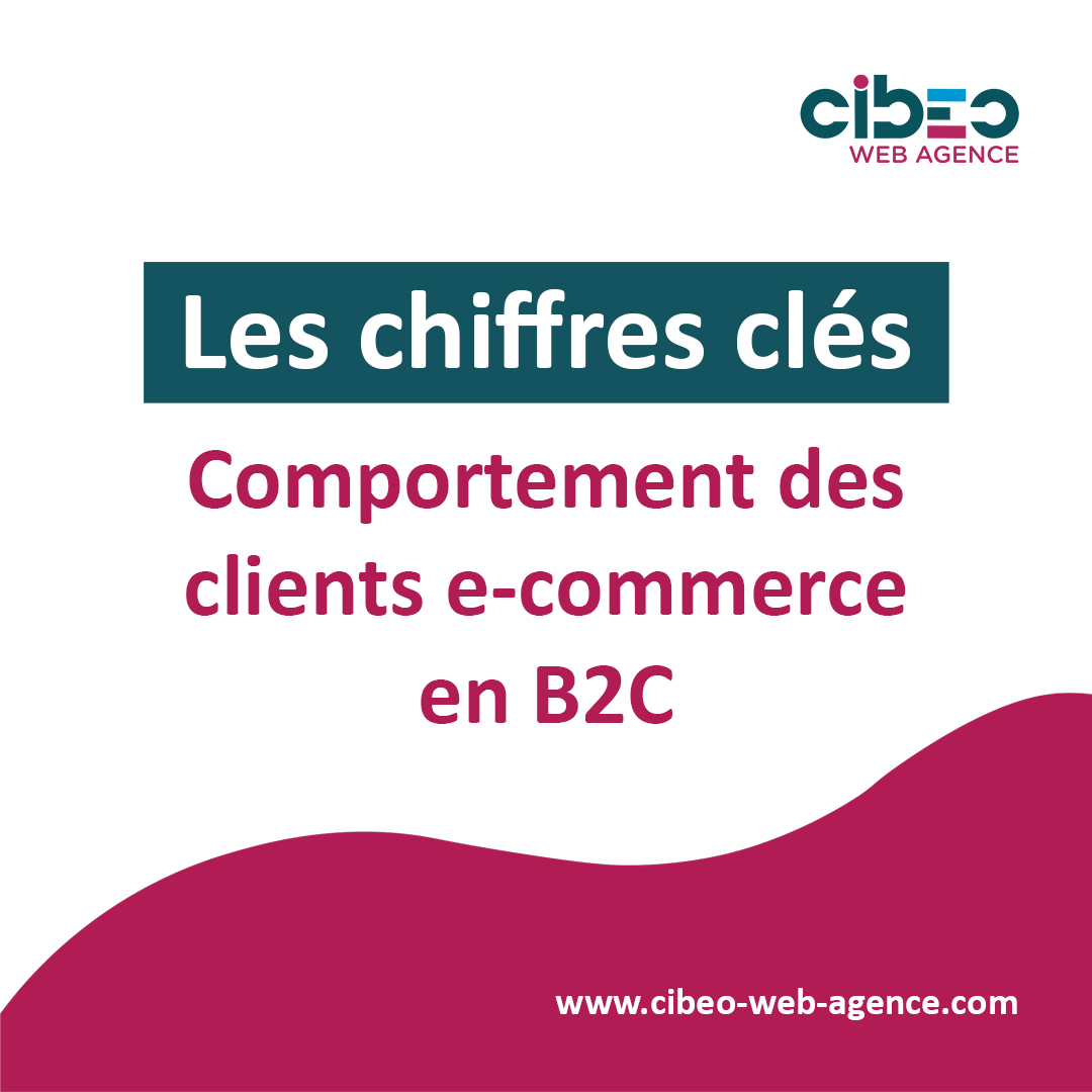 Comportement des clients e-commerce en b2c