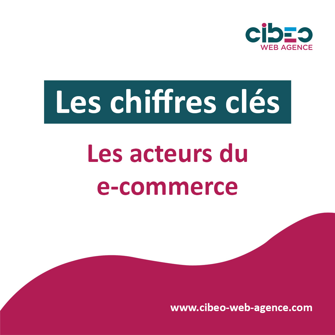 Acteurs du e-commerce B2C