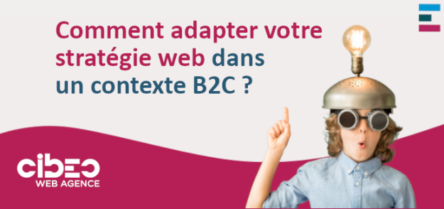 Stratégie web et e-commerce en B2C Stratégie web et e-commerce en B2C