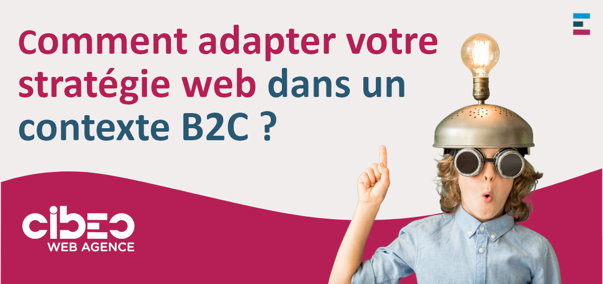Stratégie web et e-commerce B2C Stratégie web et e-commerce B2C